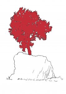 Illustratie voor La Roche